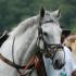 71st Running of the Iroquois Steeplechase Ends in Sadness